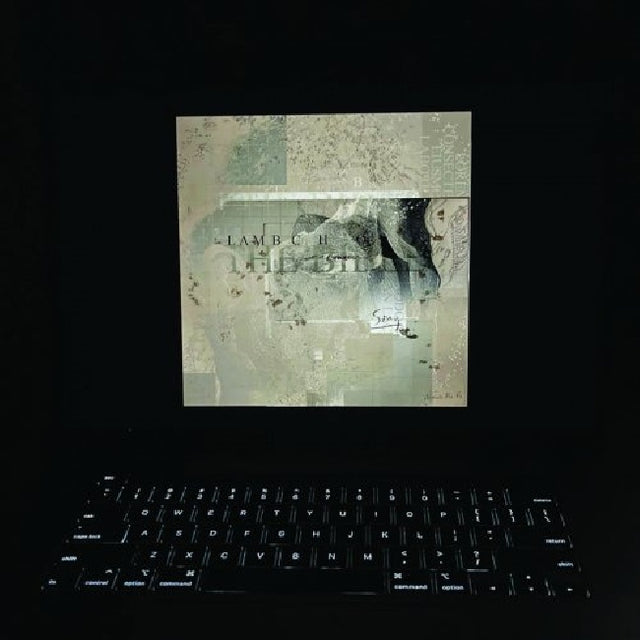 Lambchop - Bible (LP) - Velvet Music