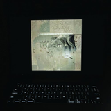 Lambchop - Bible (LP) - Velvet Music