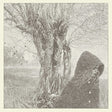 Lankum - Between the earth and sky (LP) - Velvet Music