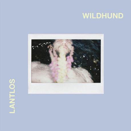 Lantlos - Wildhund (CD) - Velvet Music