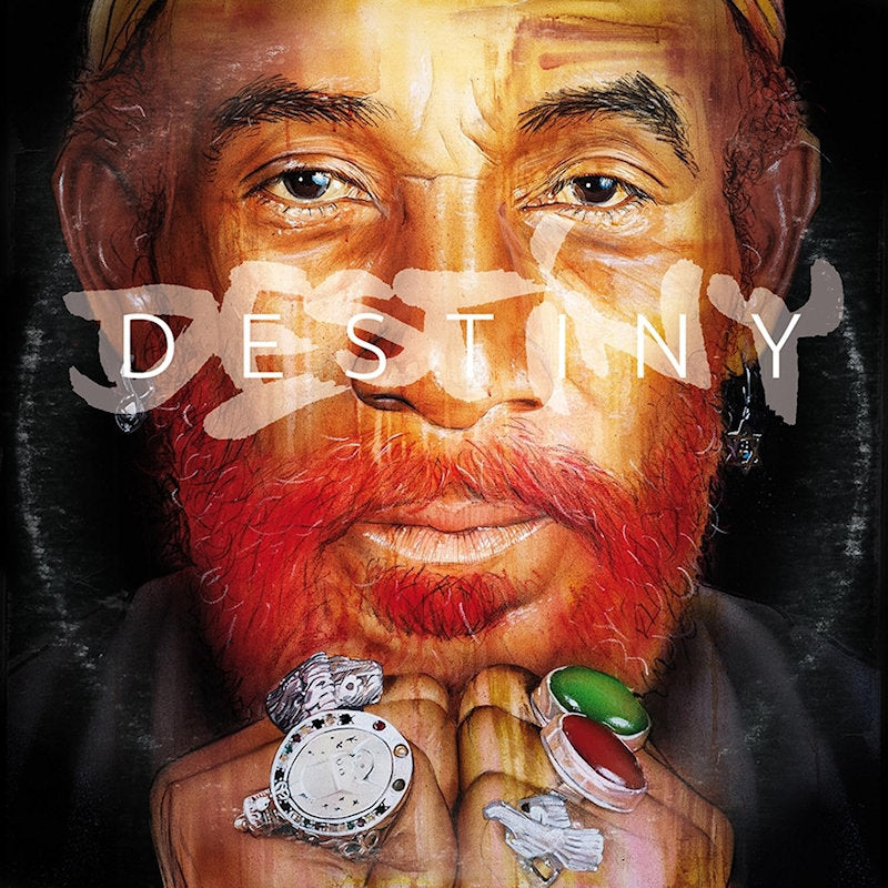 Lee Scratch Perry X Bob Riddim - Destiny (LP) - Velvet Music