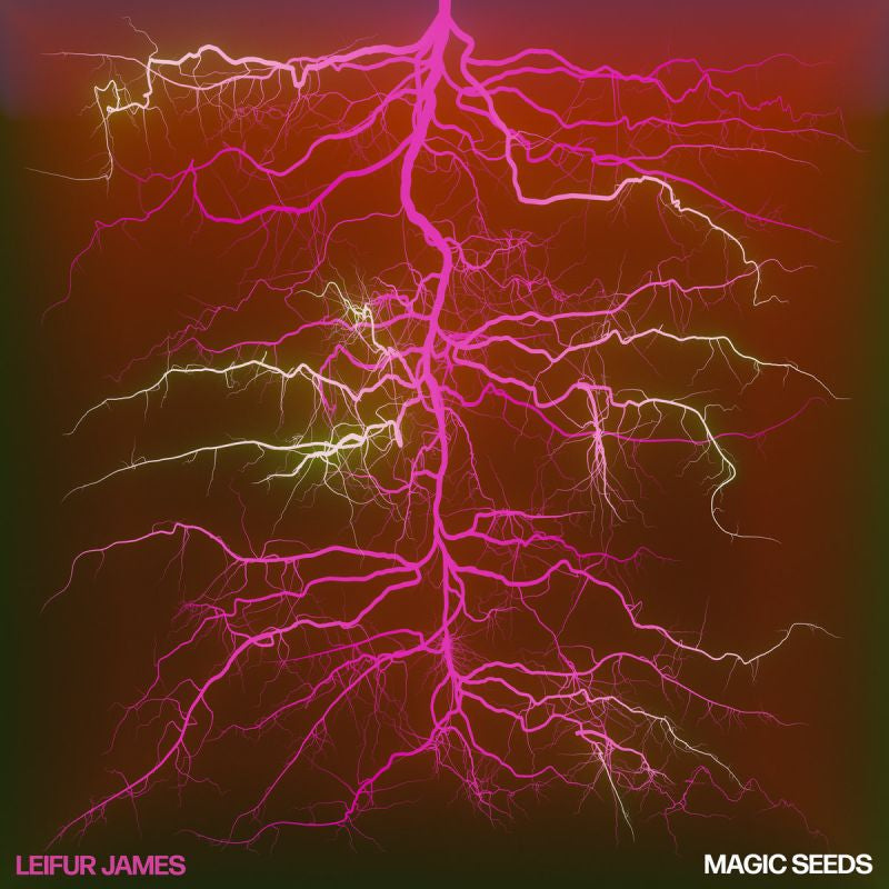 Leifur James - Magic seeds (LP) - Velvet Music