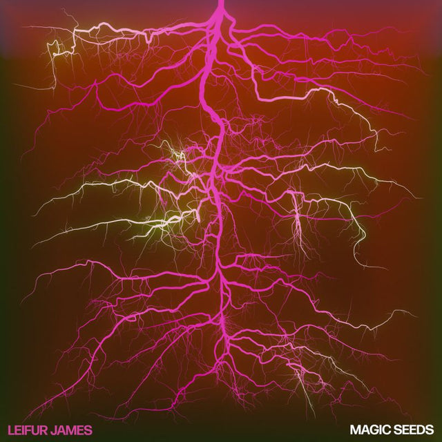 Leifur James - Magic seeds (LP) - Velvet Music