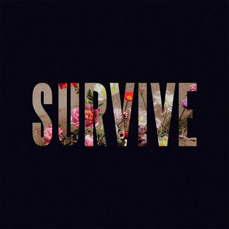 Lewis Capaldi - Survive ep (CD) - Velvet Music