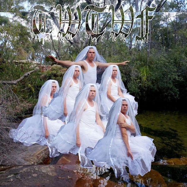 Liars - TWTWF (titles with the word fountain) (LP)