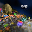 Lichen Slow - Rest lurks (CD) - Velvet Music