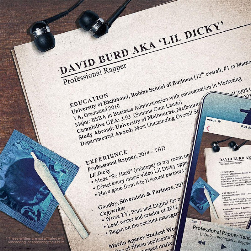 Lil Dicky - Professional rapper (33 tours)