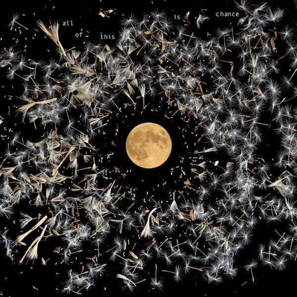 Lisa O'Neill - All of this is chance (silver) (LP) - Velvet Music