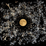 Lisa O'Neill - All of this is chance (silver) (LP) - Velvet Music
