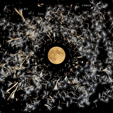 Lisa O'Neill - All of this is chance (CD) - Velvet Music