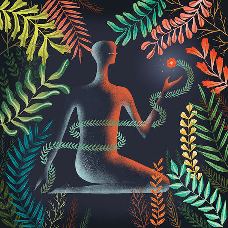 Loma - Don't shy away (LP) - Velvet Music