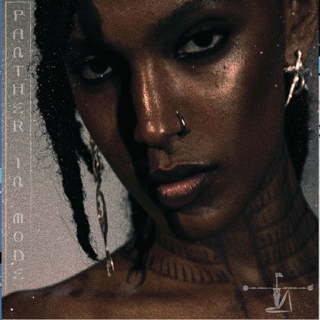 Alewya - Panther in mode (LP) - Velvet Music
