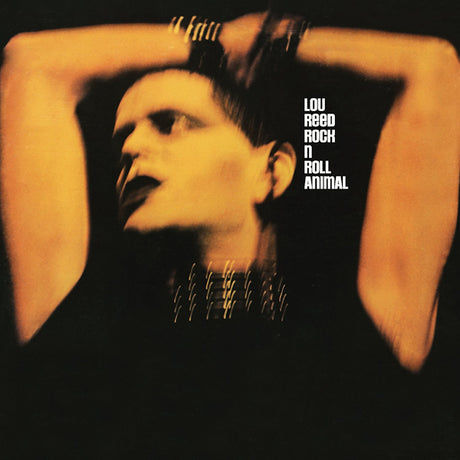 Lou Reed - Rock n roll animal (LP) - Velvet Music