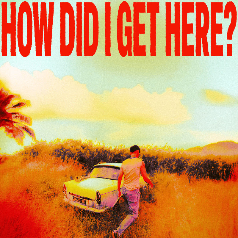 Louis Tomlinson - How did i get here? (LP) - Velvet Music