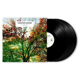 Ludovico Einaudi - In a time lapse -special edition 2023- (LP)
