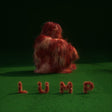 Lump - Lump (LP) - Velvet Music