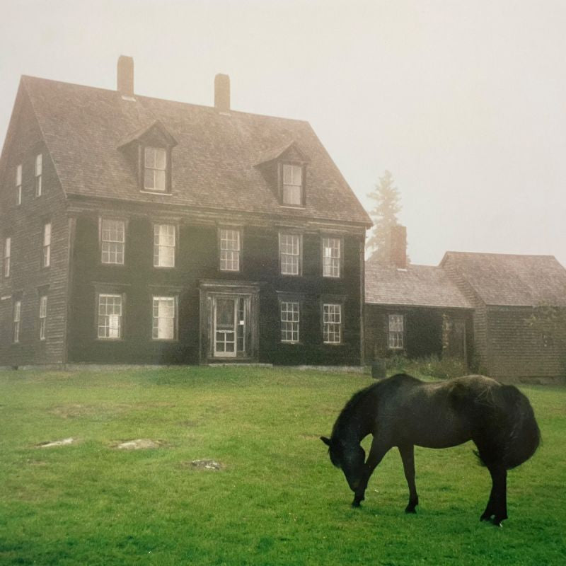 Lutalo - The academy (meadow green vinyl) (LP)