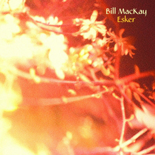 Bill Mackay - Esker (LP) - Velvet Music
