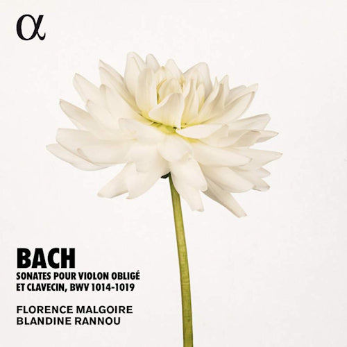 Johann Sebastian Bach - Sonatas for violon oblige et clavecin bwv1014-1019 (CD)