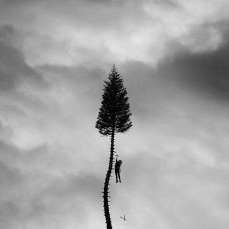 Manchester Orchestra - A black mile to the surface (CD) - Velvet Music