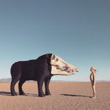 Man Man - Dreaming hunting in the valley of the in-between (LP)