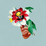 Maribou State - Kingdoms in colour (CD) - Velvet Music