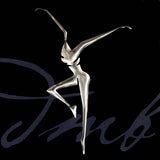 Dave Matthews Band - Stand Up (CD)
