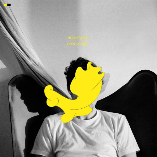 Système de mesure - Pas de signal (CD)