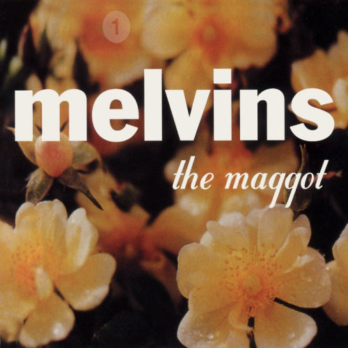 Melvins - Maggot (CD) - Velvet Music