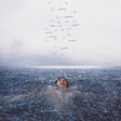 Shawn Mendes - Wonder (CD) - Velvet Music
