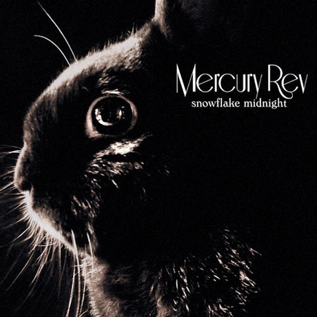 Mercury Rev - Snowflake midnight (CD)