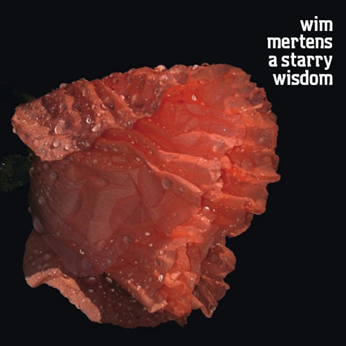 Wim Mertens - A starry wisdom (CD) - Velvet Music