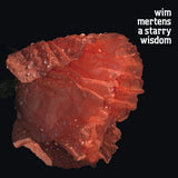Wim Mertens - A starry wisdom (CD) - Velvet Music
