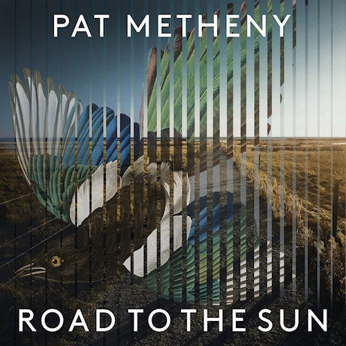 Pat Metheny - Road to the sun (LP) - Velvet Music