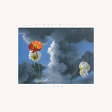 Blake Mills - Look (LP) - Velvet Music