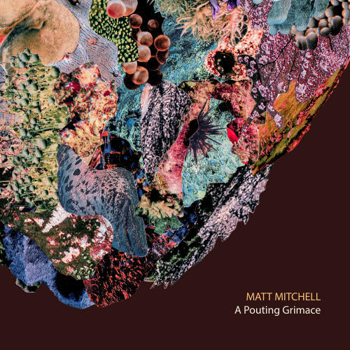 Matt Mitchell - A pouting grimace (CD) - Velvet Music