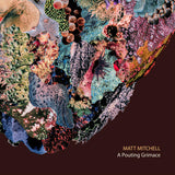 Matt Mitchell - A pouting grimace (CD) - Velvet Music