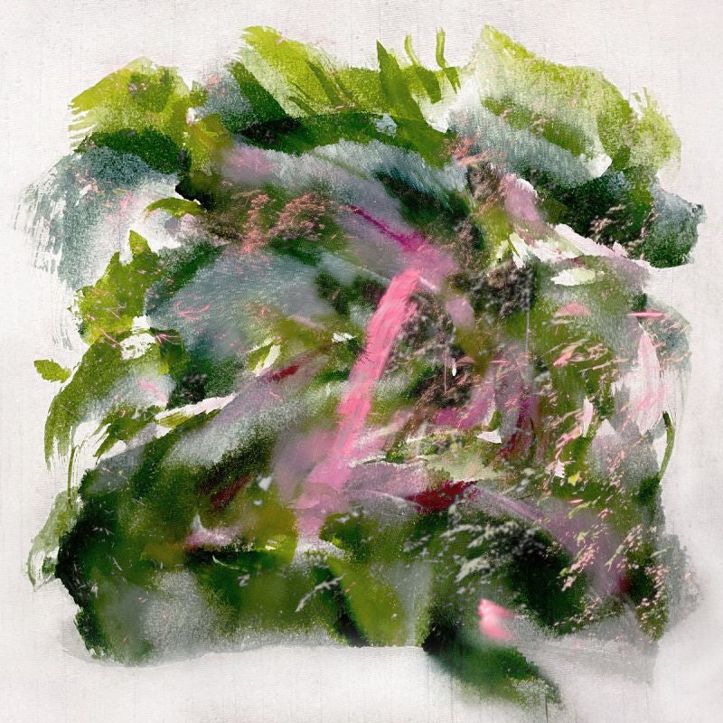 Mizu - Scènes de forêt (LP)