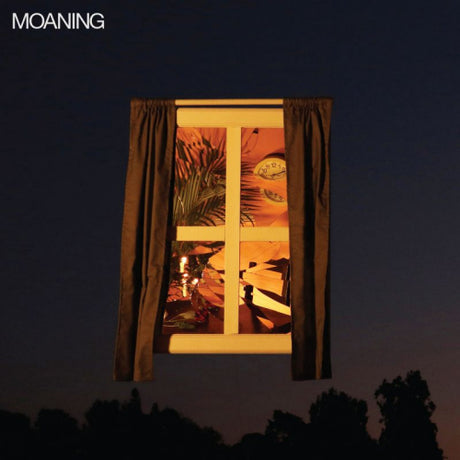 Moaning - Moaning (LP) - Velvet Music