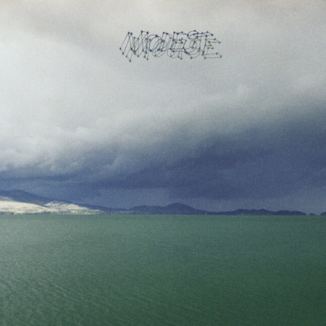 Modest Mouse - Fruit that ate itself (LP)