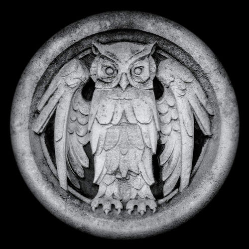 Monarchy - Abnocto (CD)