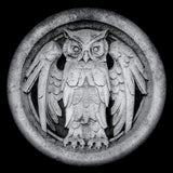 Monarchy - Abnocto (CD)