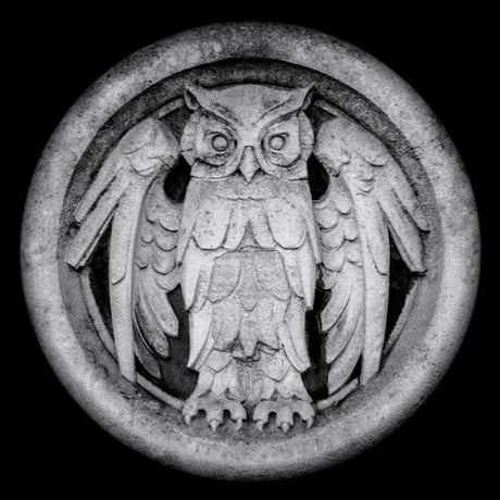 Monarchy - Abnocto (LP) - Velvet Music