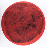 Roy Montgomery - Q: transient global amnesia (LP) - Velvet Music