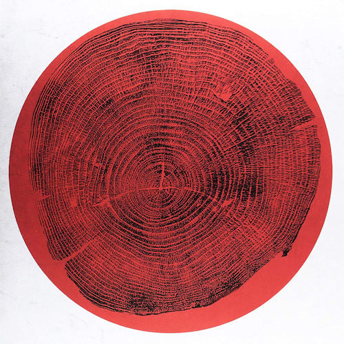 Roy Montgomery - Q: transient global amnesia (LP) - Velvet Music