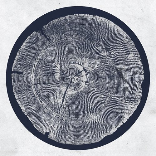 Roy Montgomery - R: tropic of anodyne (LP) - Velvet Music