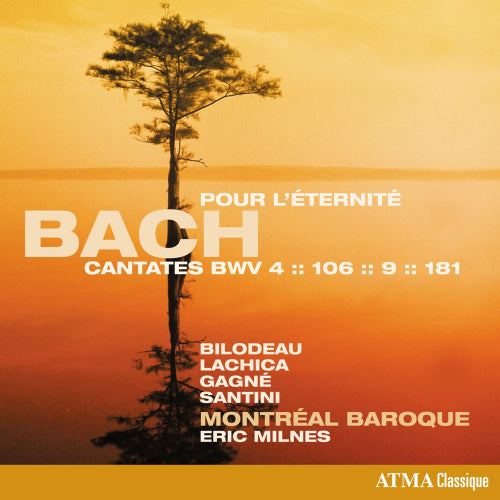 Johann Sebastian Bach - Cantatas l'eternite (CD) - Velvet Music
