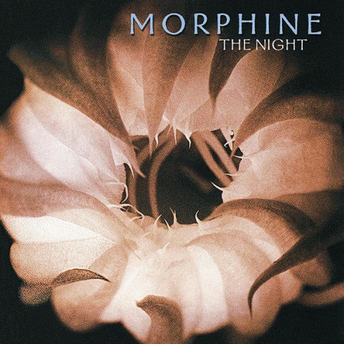 Morphine - The night (CD) - Velvet Music