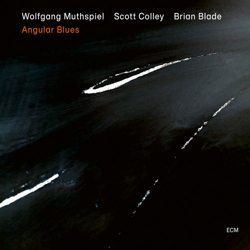 Wolfgang Muthspiel - Angular blues (CD)