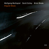 Wolfgang Muthspiel - Angular blues (CD)